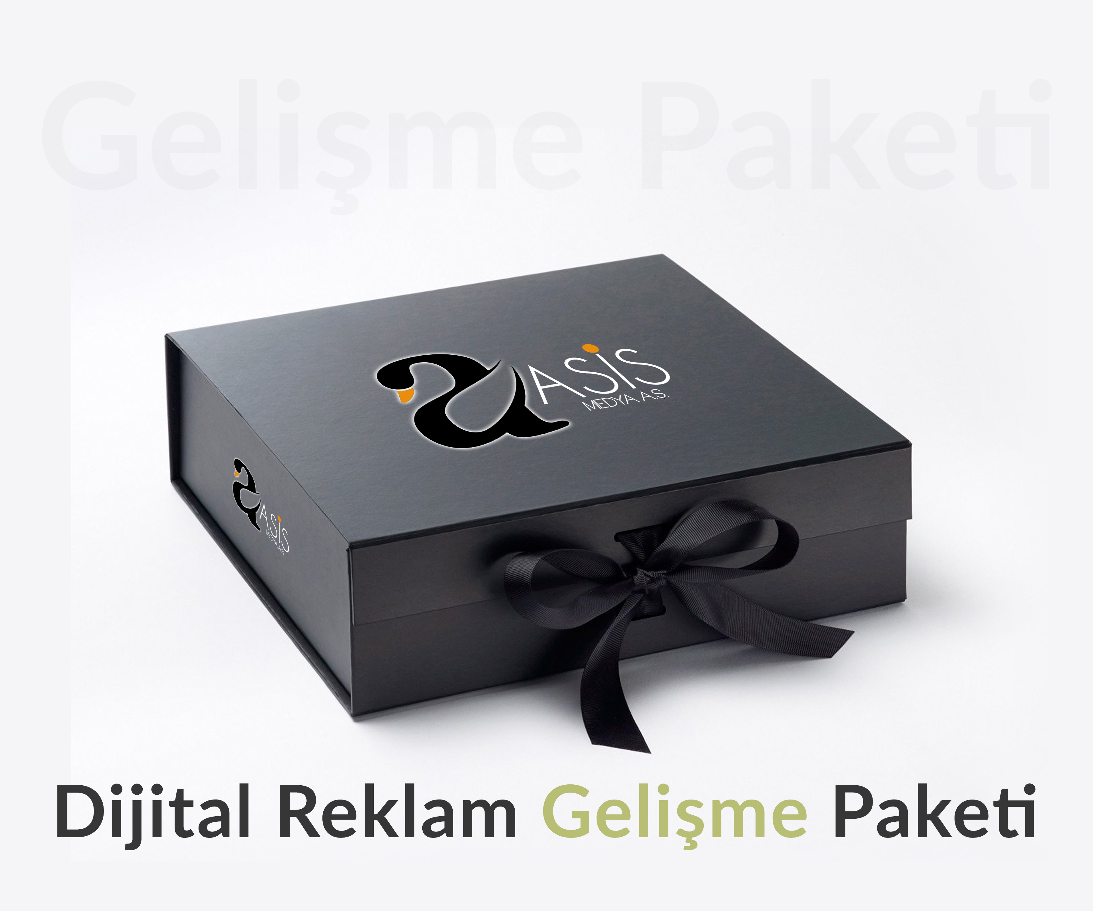 Gelişme Paketi